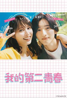 站长seo检测优化